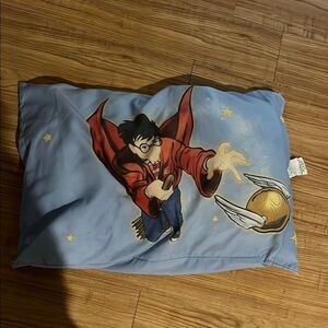Warner Bros. Blue Pillow with Red and Gold Accents